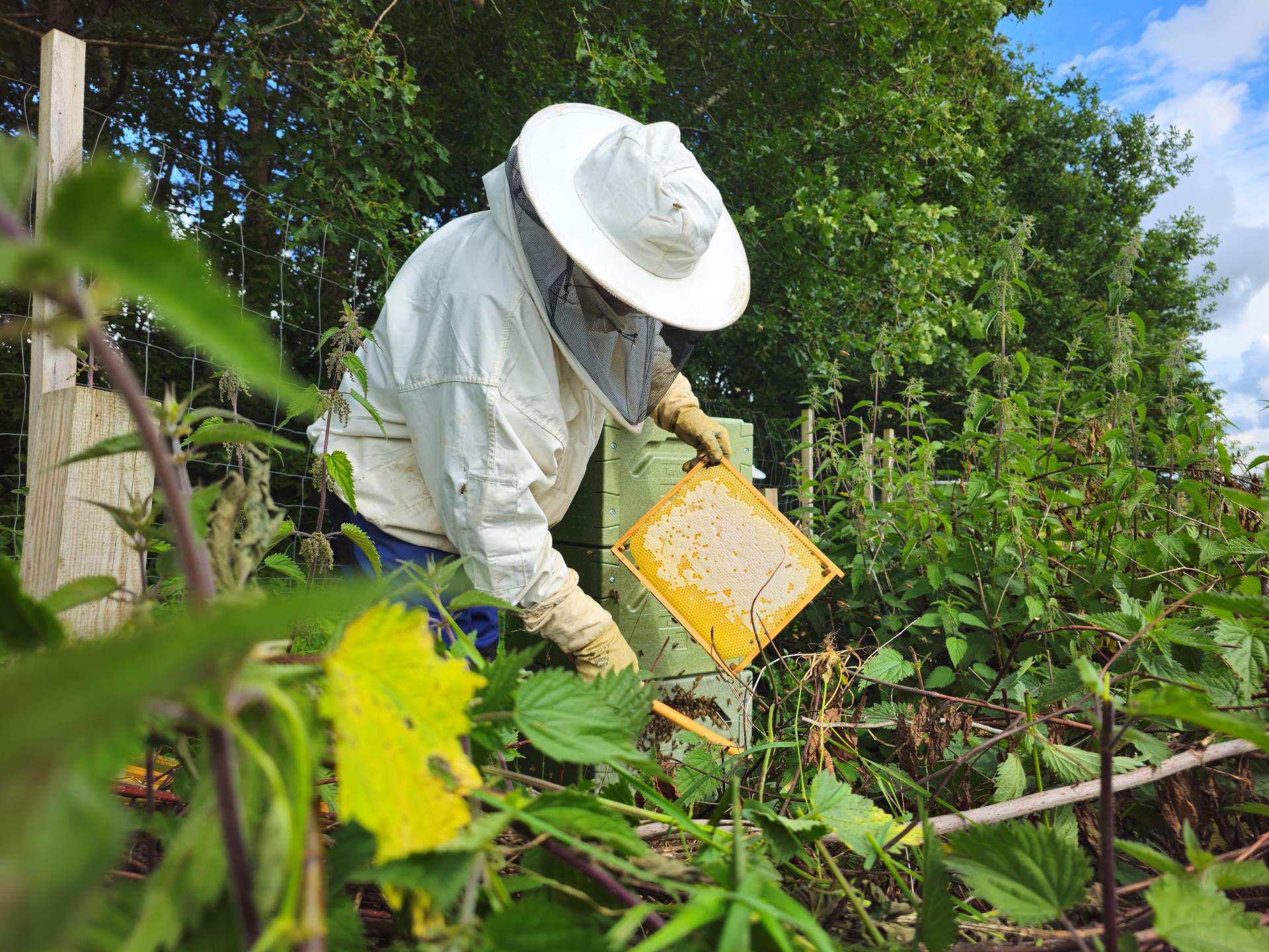 Featured image for “A Day with the Bee Keepers”